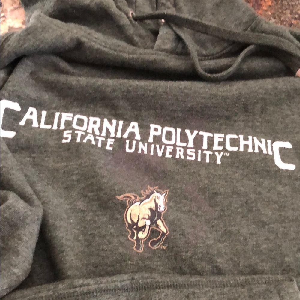 California Polytechnic State University Green Hoodie
